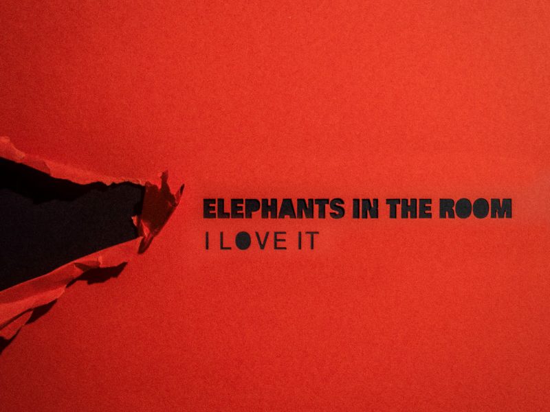 “I Love It” è il nuovo singolo degli Elephants In The Room