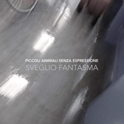 I fantasmi dei Piccoli Animali Senza Espressione