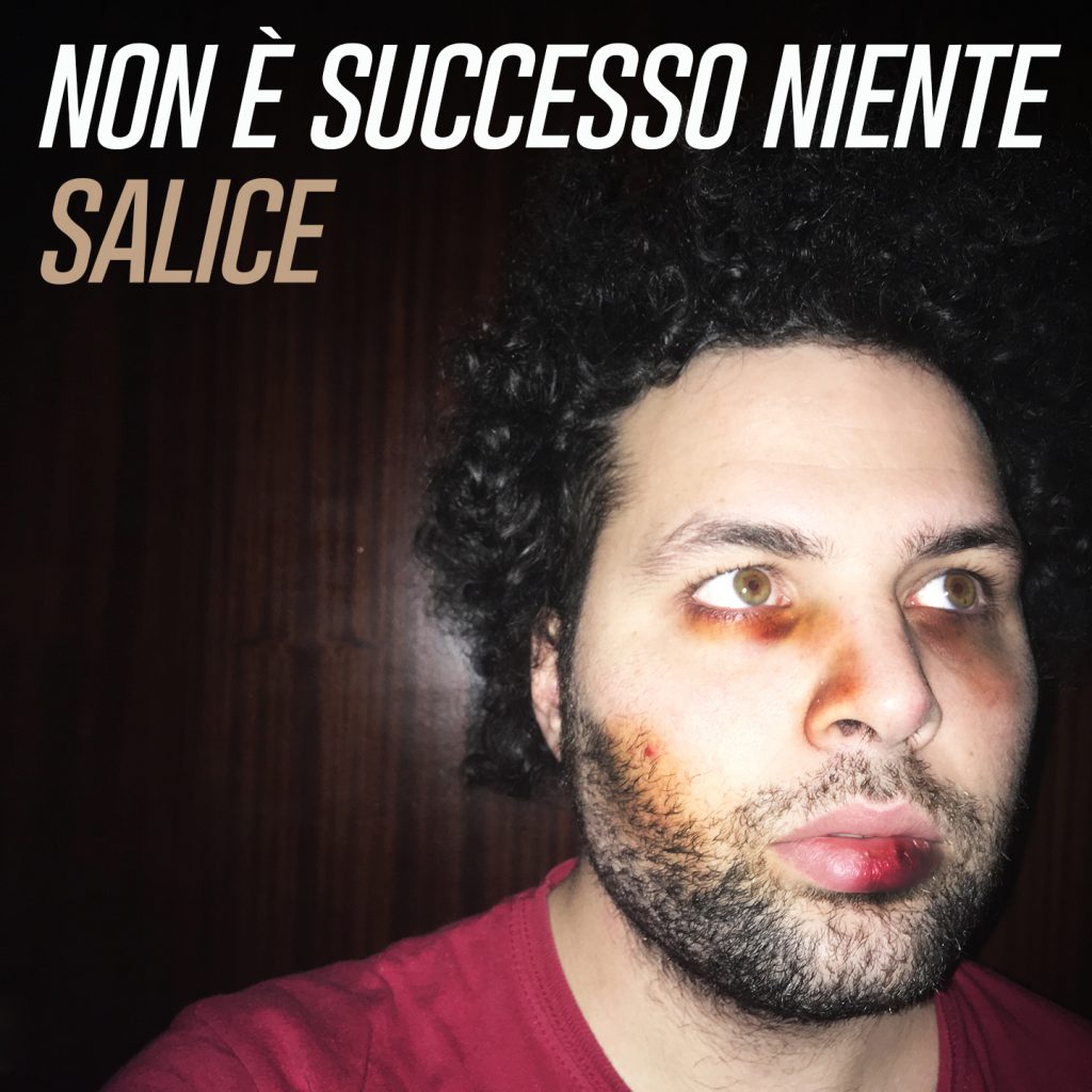 Salice Non è successo niente