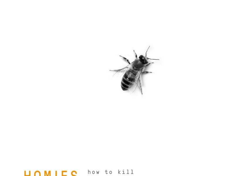 Homies, “How to Kill Your Comfort Hive” fuori l’EP di debutto