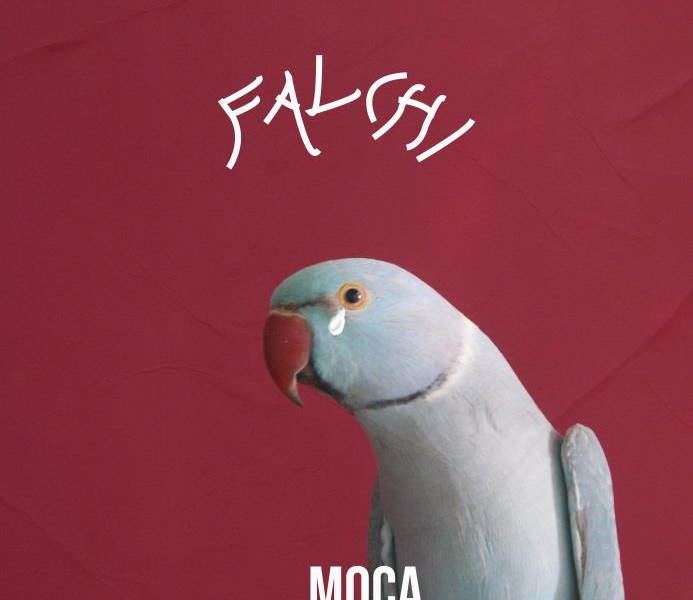 MOCA, fuori il nuovo singolo “Falchi”: rabbia e rinascita