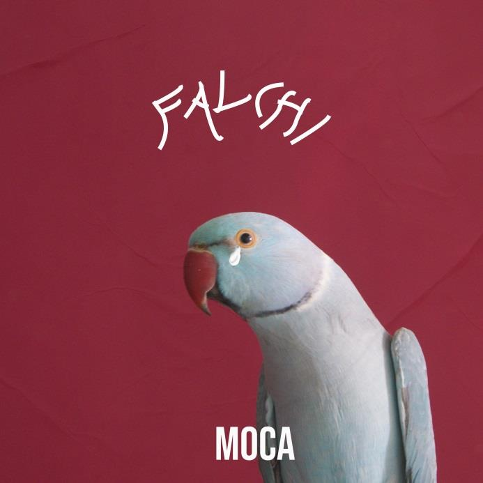 moca falchi