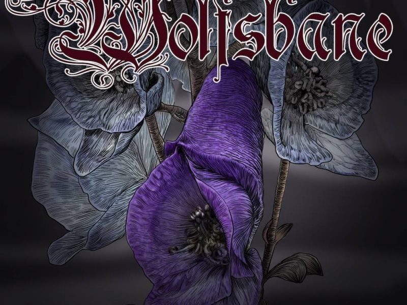 “Wolfsbane”, fuori il nuovo singolo degli eclettici Love Ghost