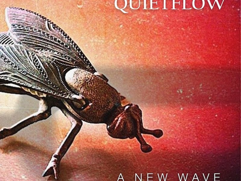 Quietflow, fuori l’album d’esordio psichedelico “A New Wave”