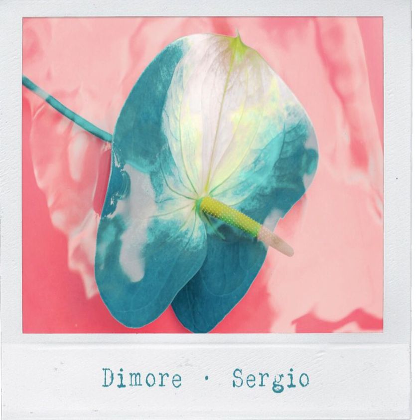 sergio dimore