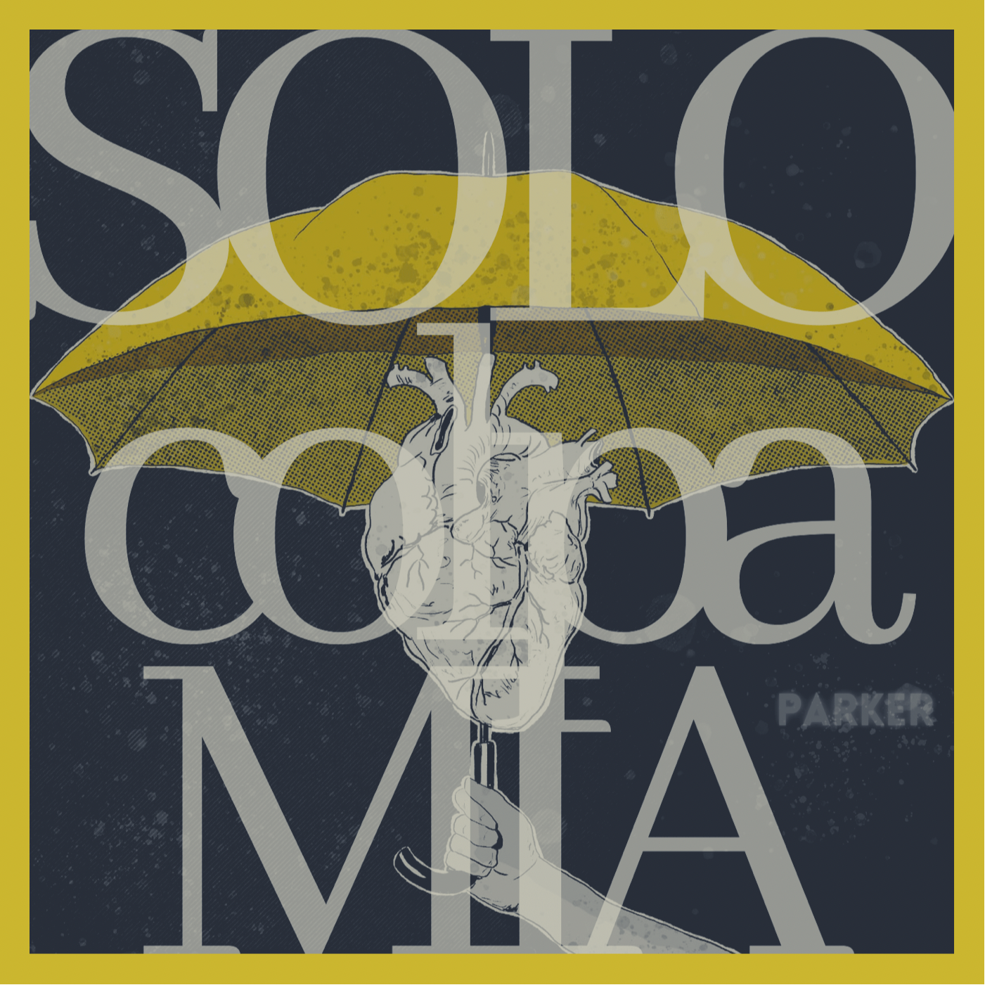 solo colpa mia parker