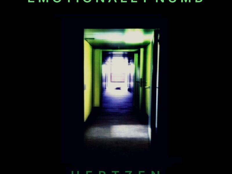 “Emotionally Numb”, il viaggio attraverso le emozioni degli Hertzen