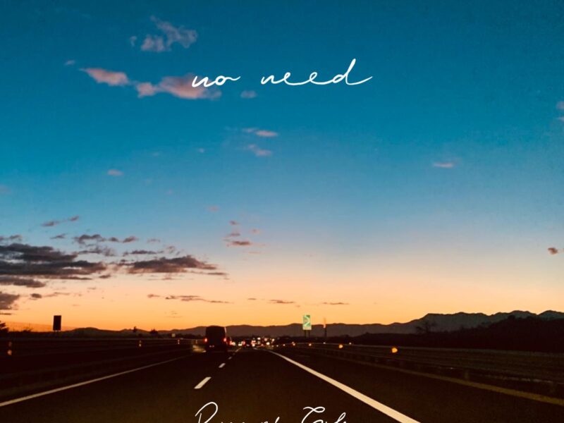 RICCARDO GILENO “NO NEED (BIG HOUSE IN MALIBU)” è il nuovo singolo