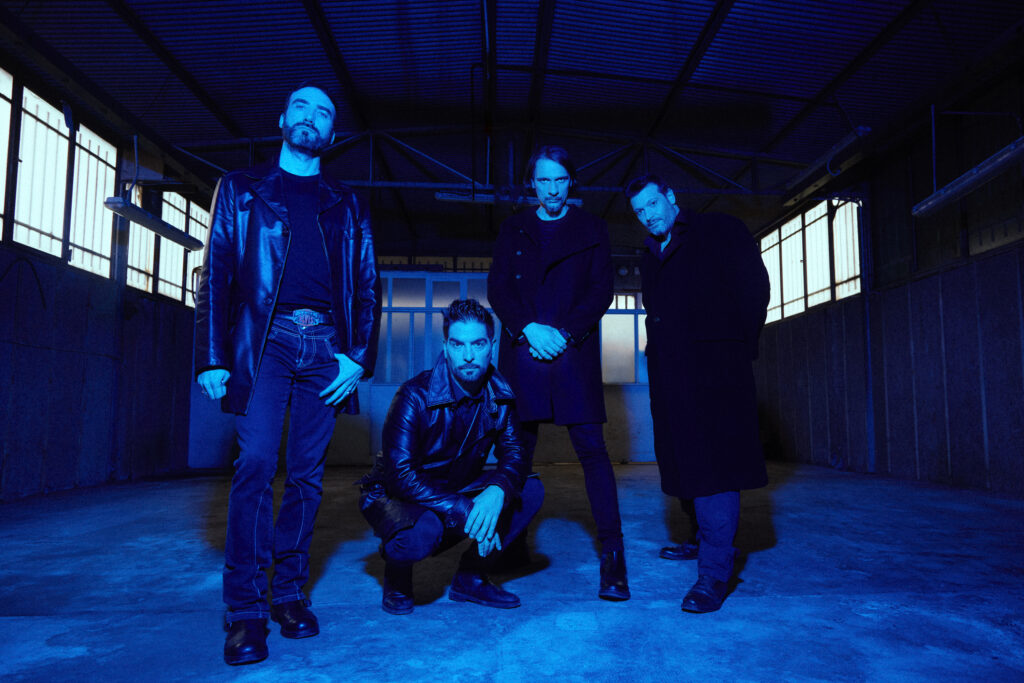 l.e.d. intervista